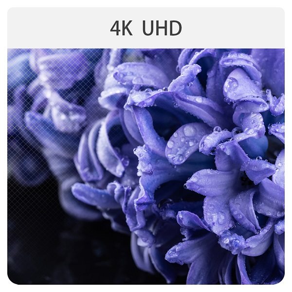 CHiQ U50H7LX SMART LED CHiQ U50H7LX SMART LED