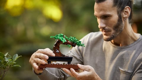 LEGO® Icons 10281 Bonsai fa
