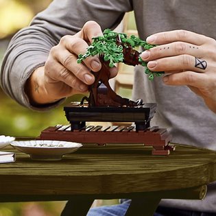 LEGO® Icons 10281 Bonsai fa