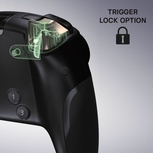 eSwap X Pro Controller gamepad eSwap X Pro Controller gamepad