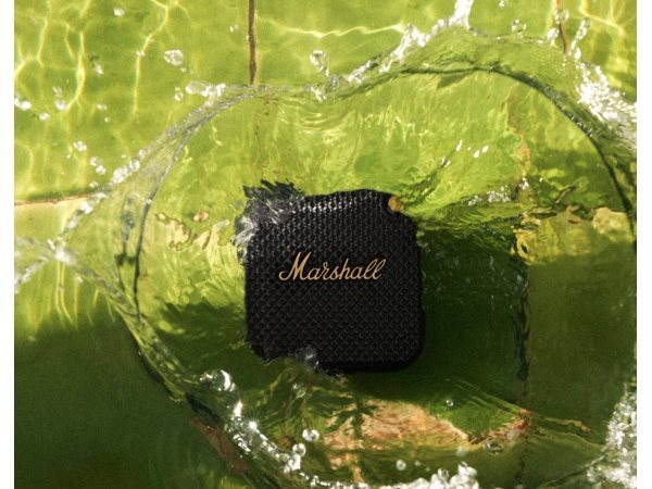 Marshall Willen Black & Brass Marshall Willen Black & Brass