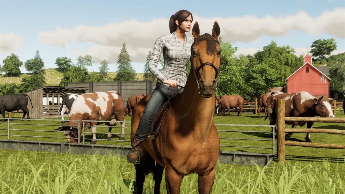 Farming Simulator 19: Premium Edition Farming Simulator 19: Premium Edition