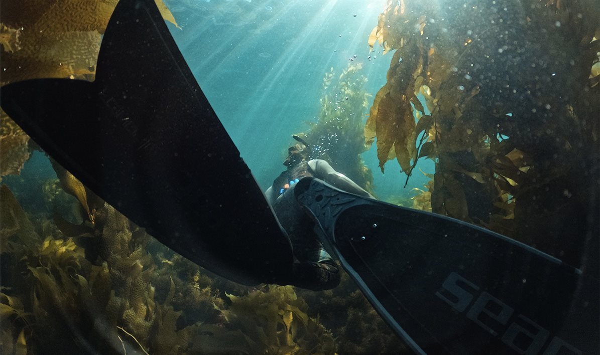 GoPro HERO11 Black Mini kültéri kamera