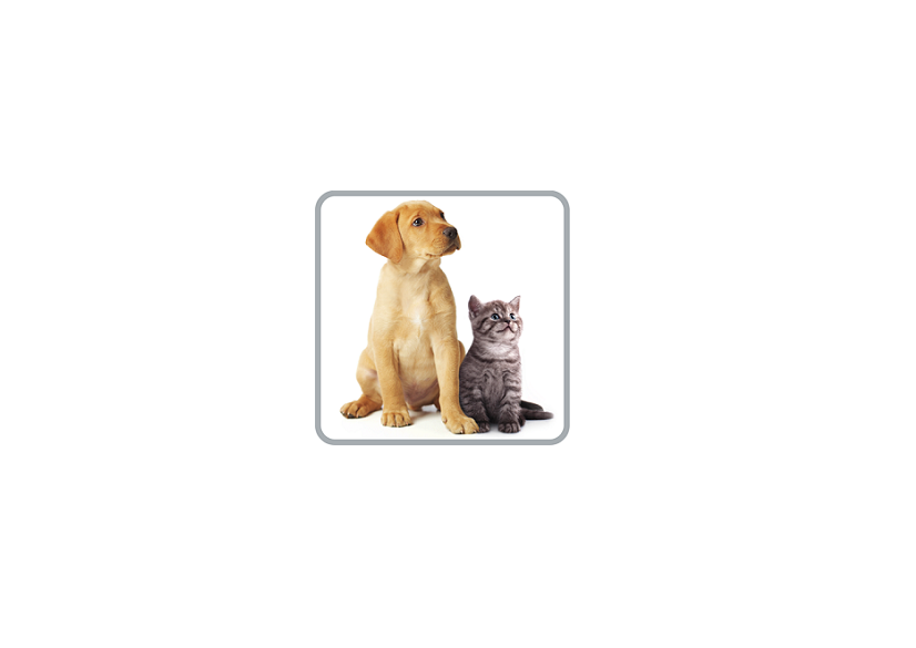 Rowenta RO3985EA Compact Power Animal Care porszívó 