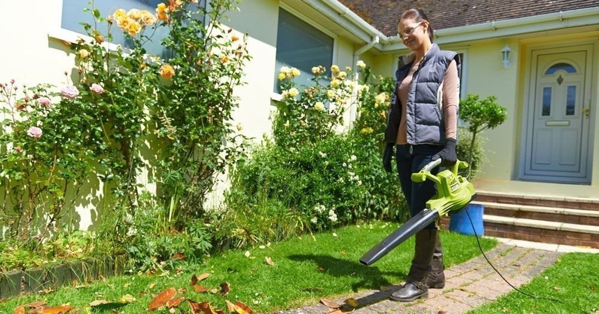 Ryobi RBV3000CSV levélporszívó
