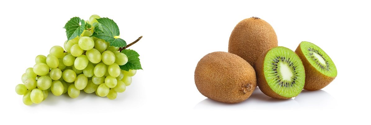 Tusfürdő LACTOVIT Fruit kivi és szőlő, 500 ml