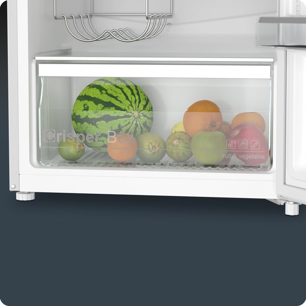 Siguro TF-J240Y Fresh hűtőszekrény Siguro TF-J240Y Fresh hűtőszekrény