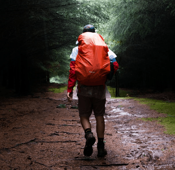 Salewa MS Wildfire