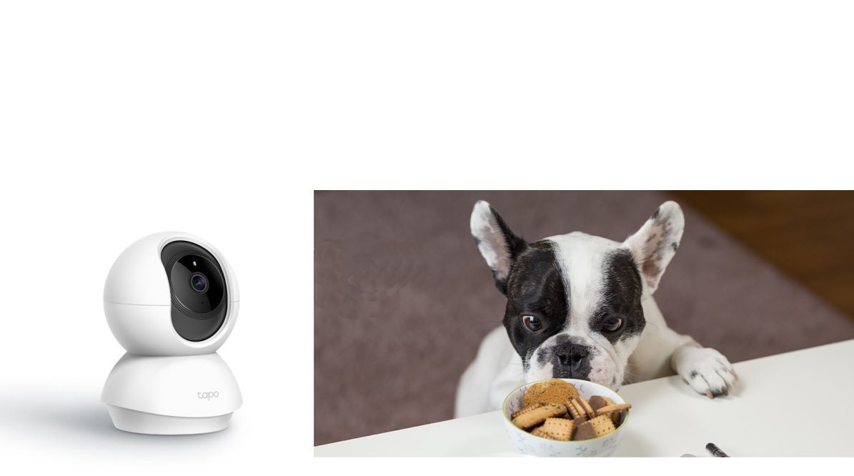 TP-LINK Tapo C200 Pan/Tilt