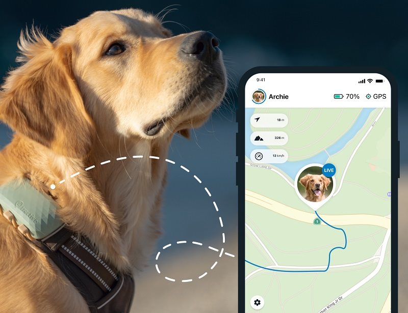 Tractive DOG XL GPS nyomkövető kutyáknak