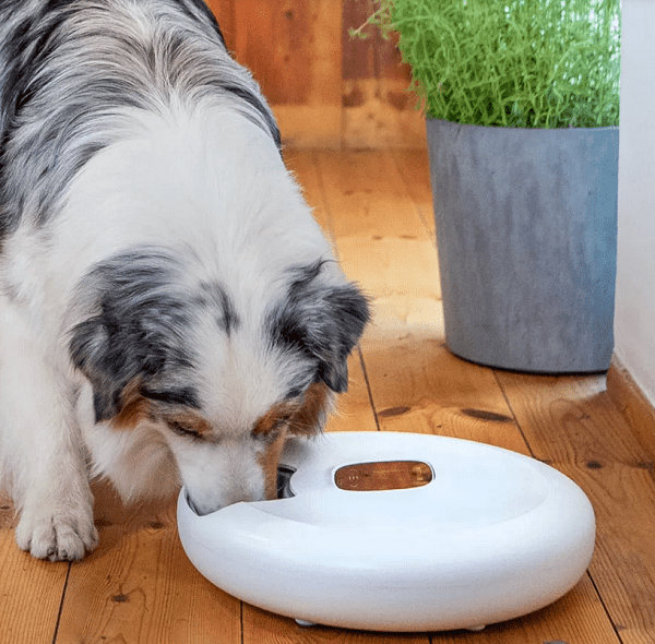 Tesla Smart Feeder Spin