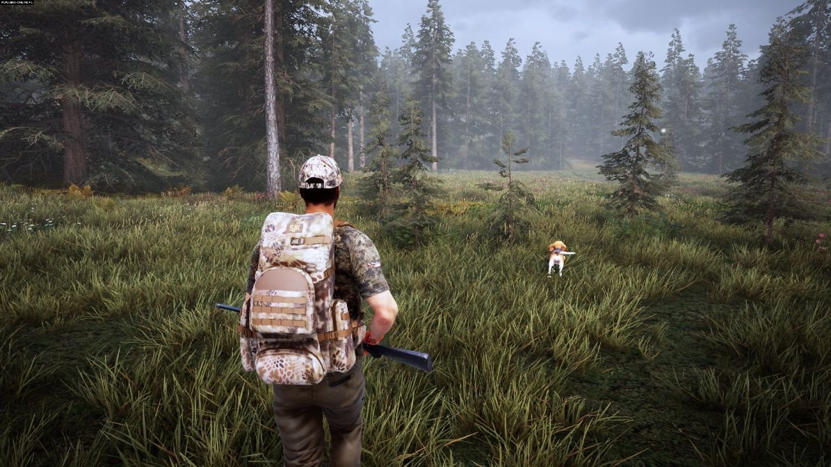 Hunting simulator 2 ошибка при запуске