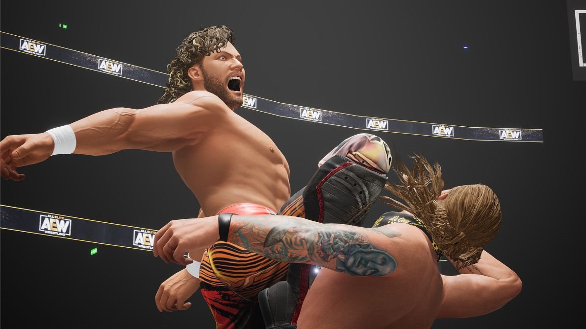 AEW: Fight Forever Xbox