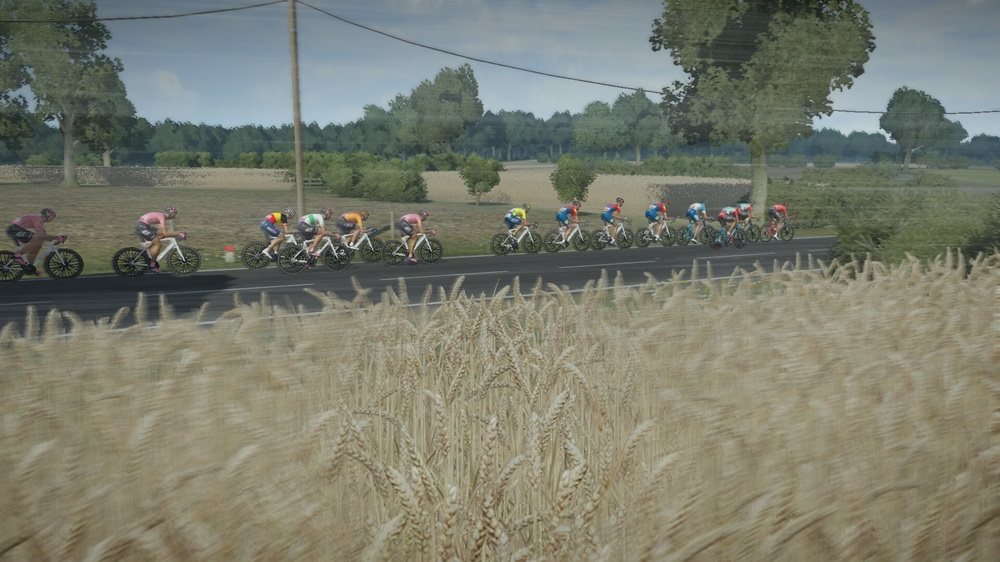 Tour de France 2024 PC