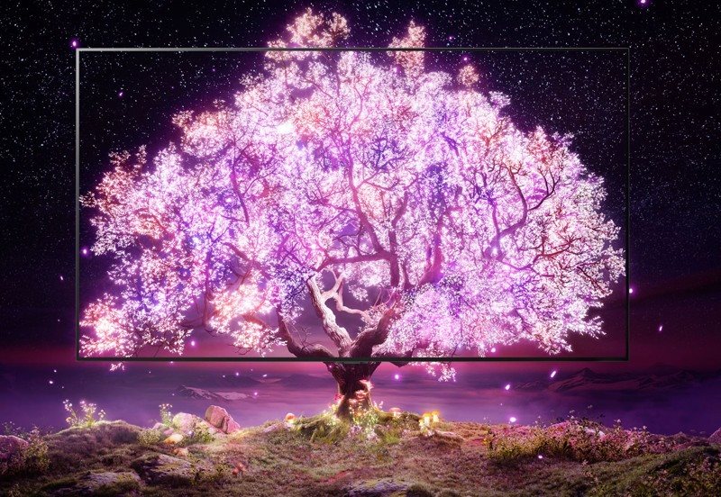 LG OLED65B1