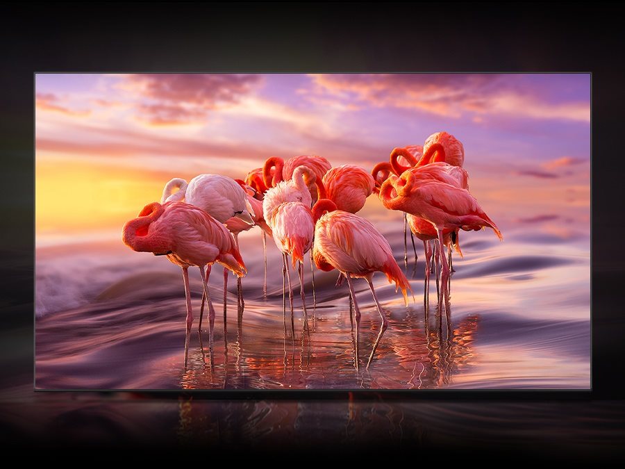 50“ Samsung QE75Q80B SMART QLED TV