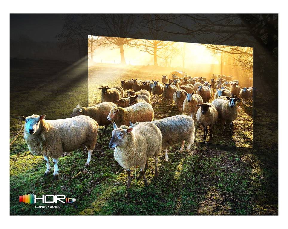 Samsung QE75QN900B
