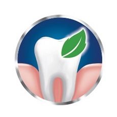 SENSODYNE Repair & Protect
