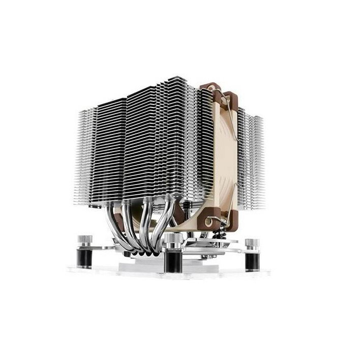 Noctua Noctua