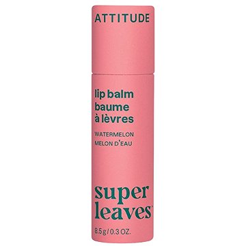 ATTITUDE Leaves Bar dinnye illat, 8,5 g