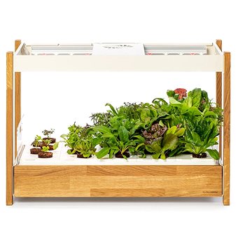 Click and Grow 25, fehér