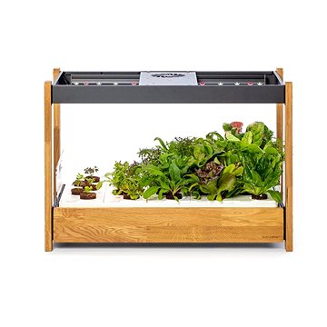 Click and Grow 25, fekete
