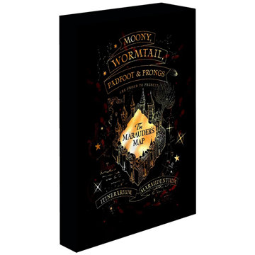 Harry Potter, Tekergők térképe, 30×40 cm, LED világítású kép