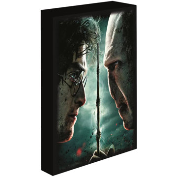 EPEE Harry Potter - Harry vs. Voldemort LED-es világító kép, 30×40 cm
