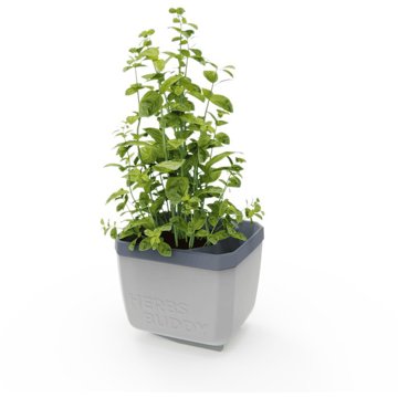 Gusta Garden HERBS BUDDY önöntözős, világosszürke