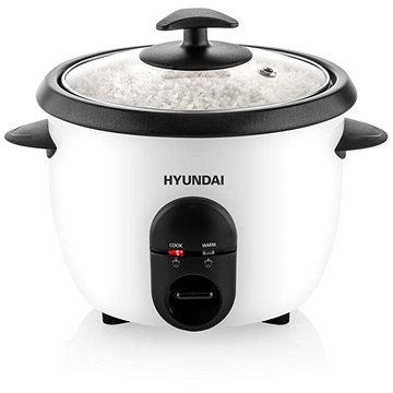 Hyundai HYURC100