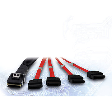 Inter-Tech (SFF-8087) Mini-SAS to 4x SATA, 1 m