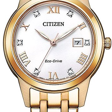 CITIZEN Classic FE1243-83A