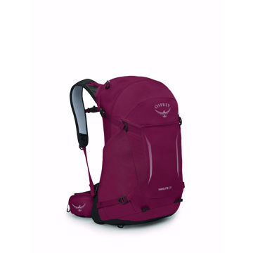 Osprey Hikelite 28 l Chameleon/Black S/M