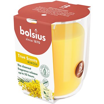 BOLSIUS Mimosa 25 óra