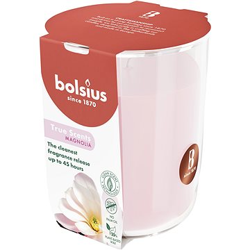 BOLSIUS Magnóliák 45 óra