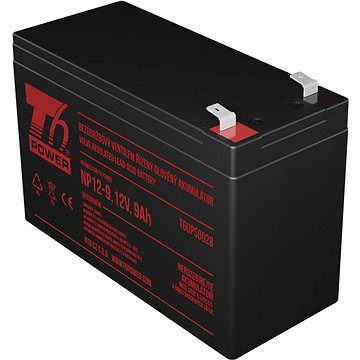 T6 Power Fortron FSP Nano 800 kompatibilis készlet, VRLA, 12 V