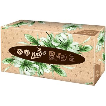 LINTEO Box 100 db