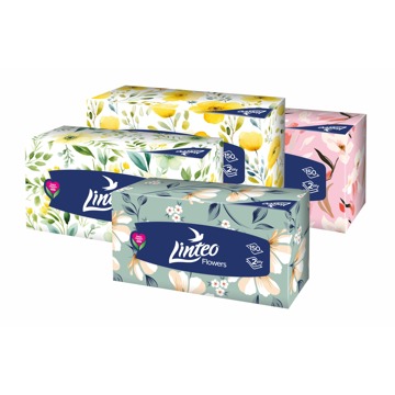LINTEO Box 150 db