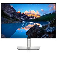 24" Dell UltraSharp U2421E - LCD monitor