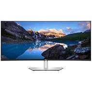 40" Dell UltraSharp U4021QW - LCD monitor