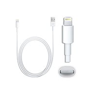 Adatkábel Lightning to USB Cable 1m (Bulk) - Datový kabel