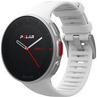 polar m430 alza