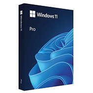 Microsoft Windows 11 PRO, EN, USB (FPP) - Operációs rendszer