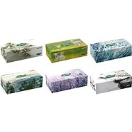 TENTO Family box 120 db, vegyes színek - Papírzsebkendő
