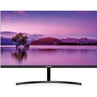 24" THOMSON M24FC12401 - LCD monitor