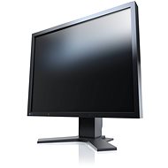 21" EIZO FlexScan S2133-BK - LCD monitor