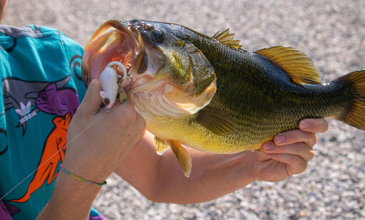 Mi kell a horgászathoz?