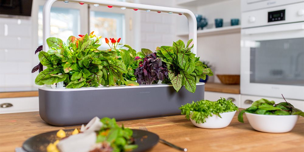 okos otthon; okos vakáció; tippek és trükkök; smart home