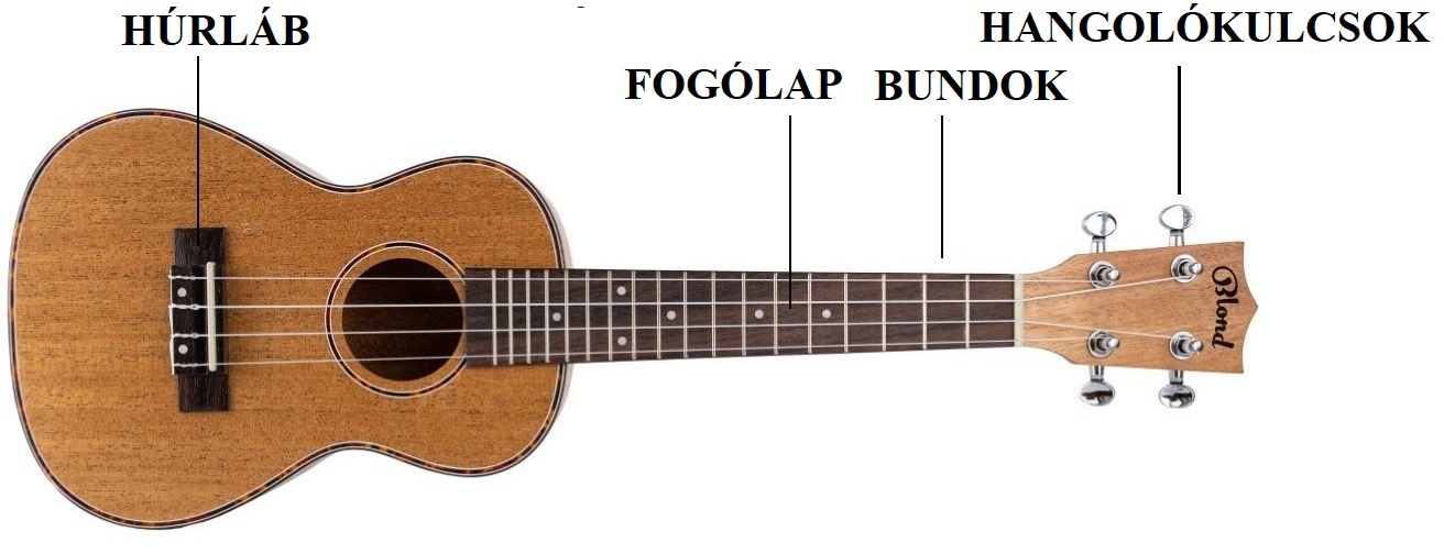 ukulele tanulás