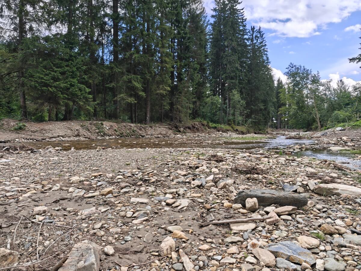 Színes fénykép, fő szenzor